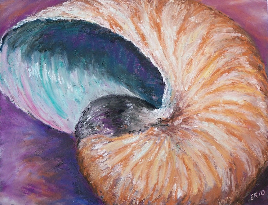 Nautilus original pastel painting