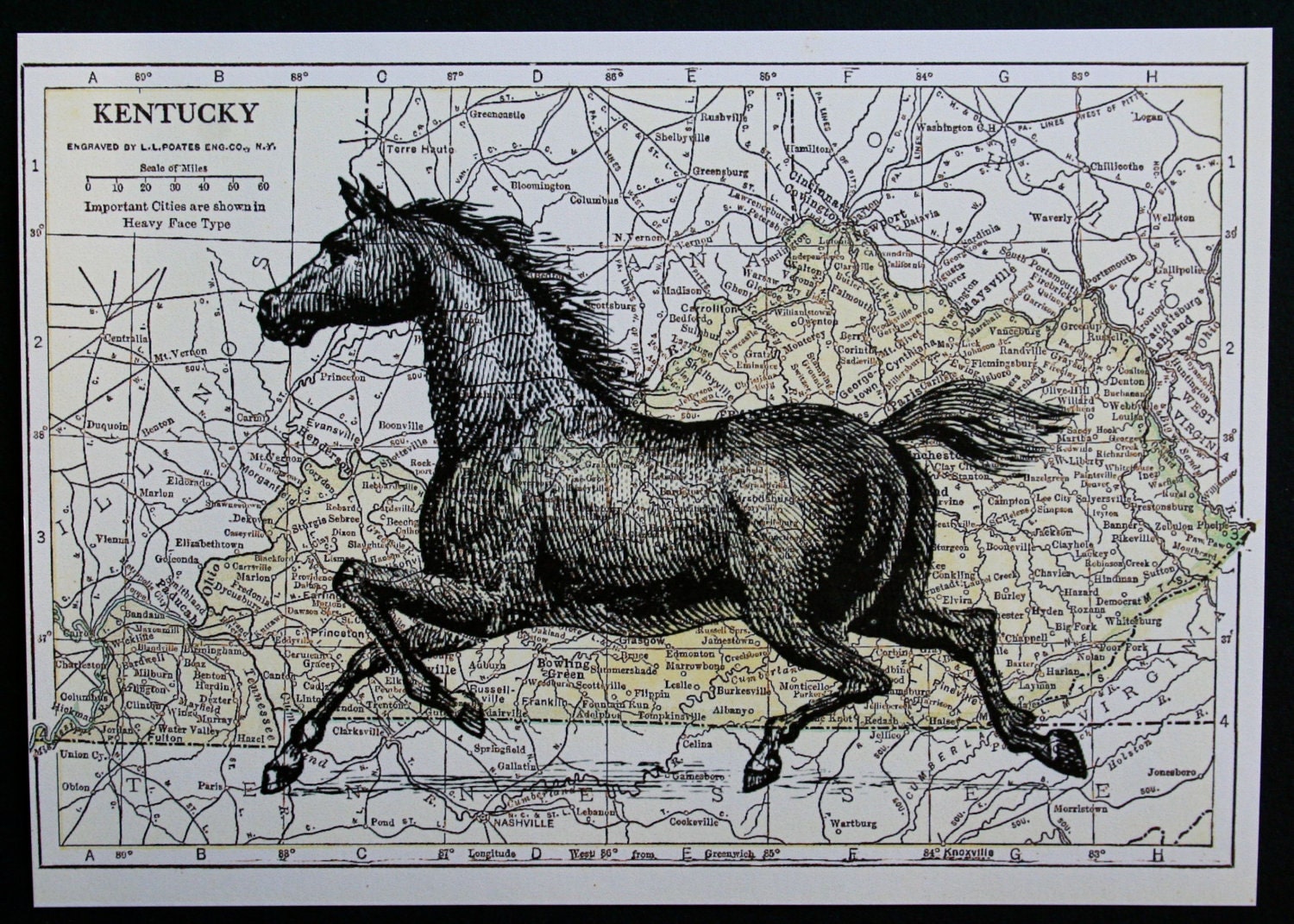 Horse Print on Map of Kentucky - 5 x 7 Kentucky Derby