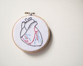 Human Heart Anatomical Embroidery Wall Art - Bleeding Love