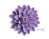 2pc large blooming lavender chrysanthemum flower cabochon, matte resin, 50mm cameo flat back