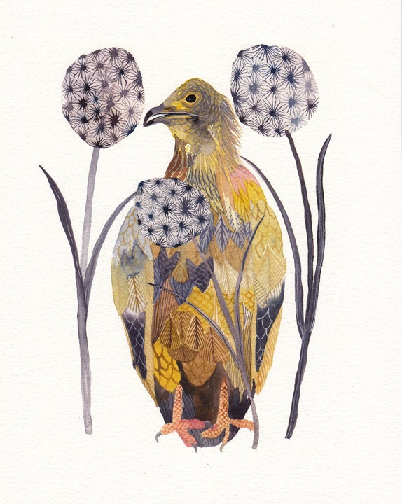 Egyptian Vulture and Dandelions - Archival Print