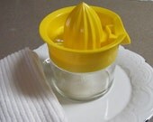 Vintage Juicer With Glass Container
