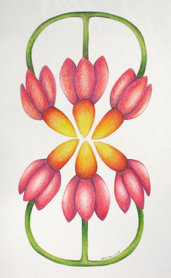 Original drawing, Coneflowers