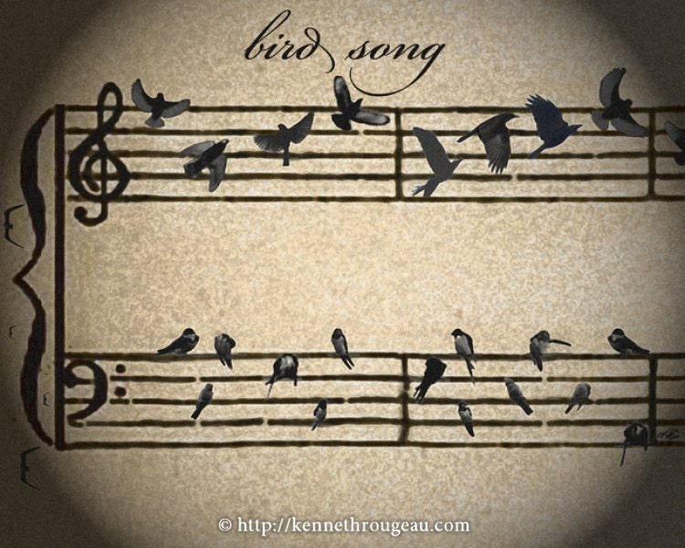 bird song 8x10 Print (by Kenneth Rougeau)