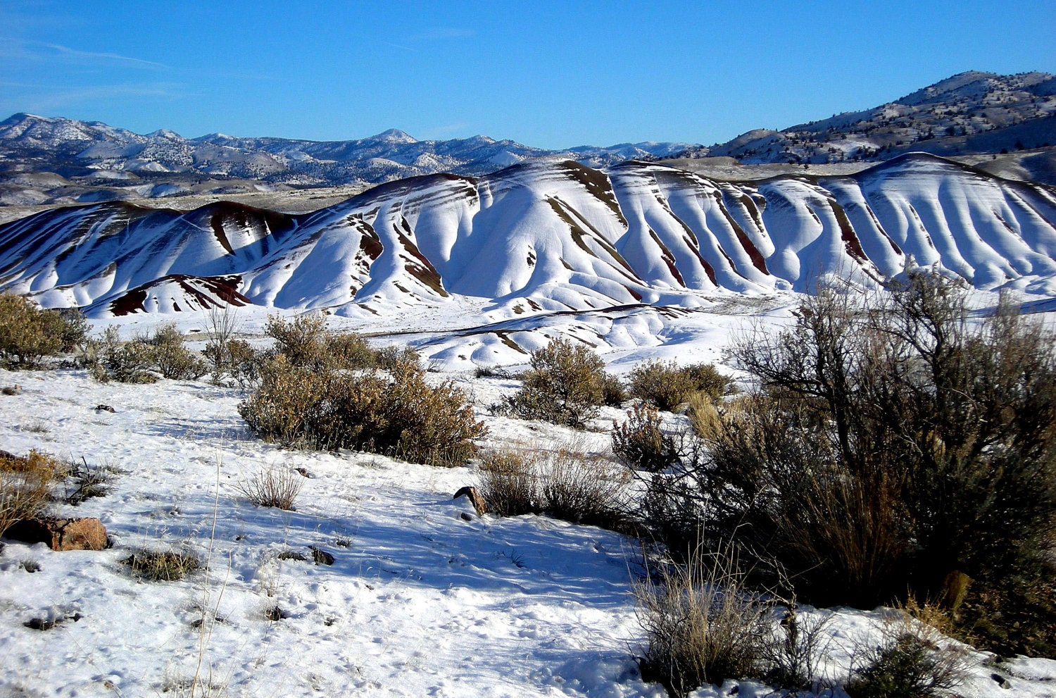 Photo Card - Painted Hills in Winter