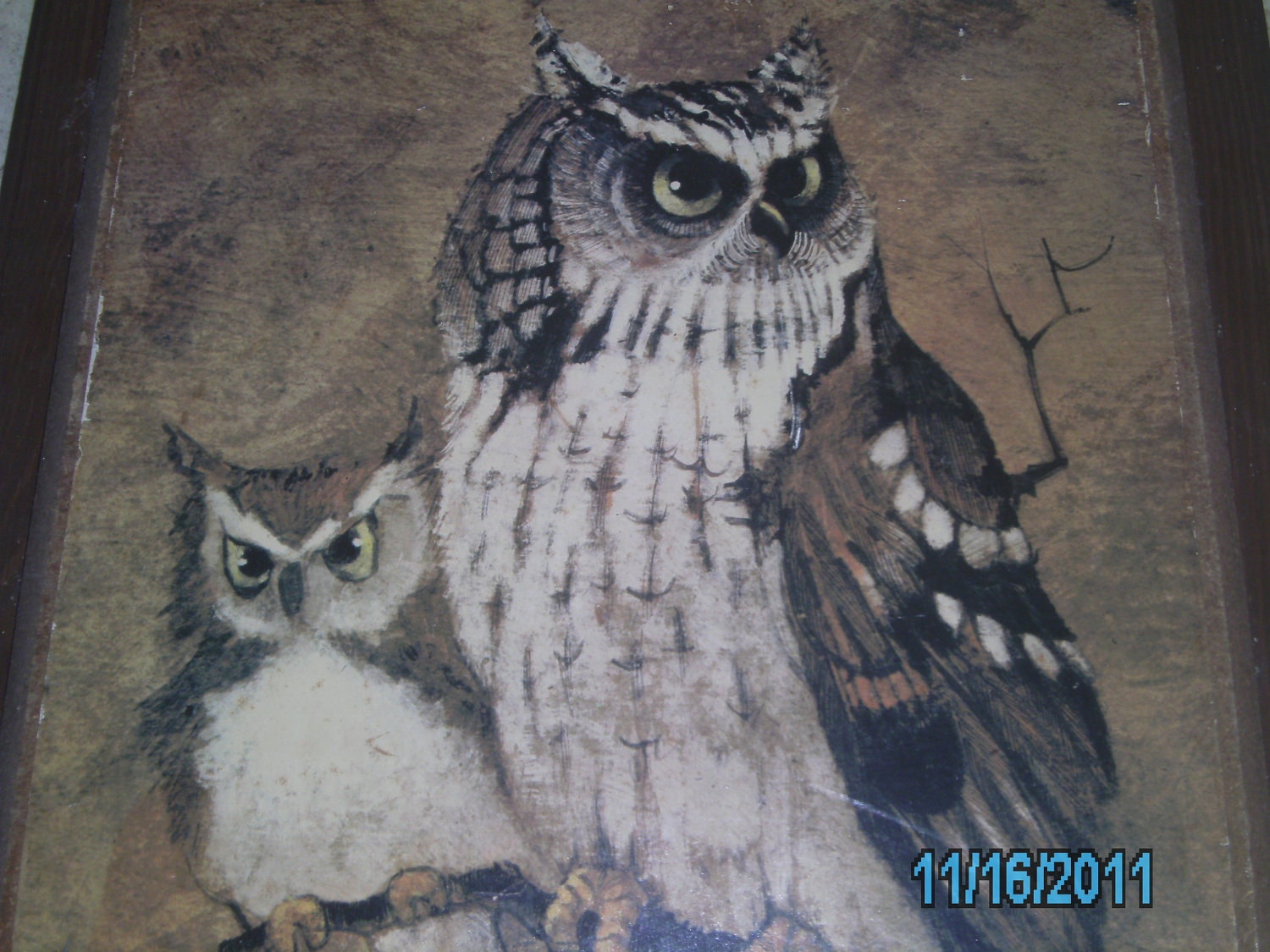 Vintage Large LITHOGRAPH OWL PICTURE On Wooden Frame