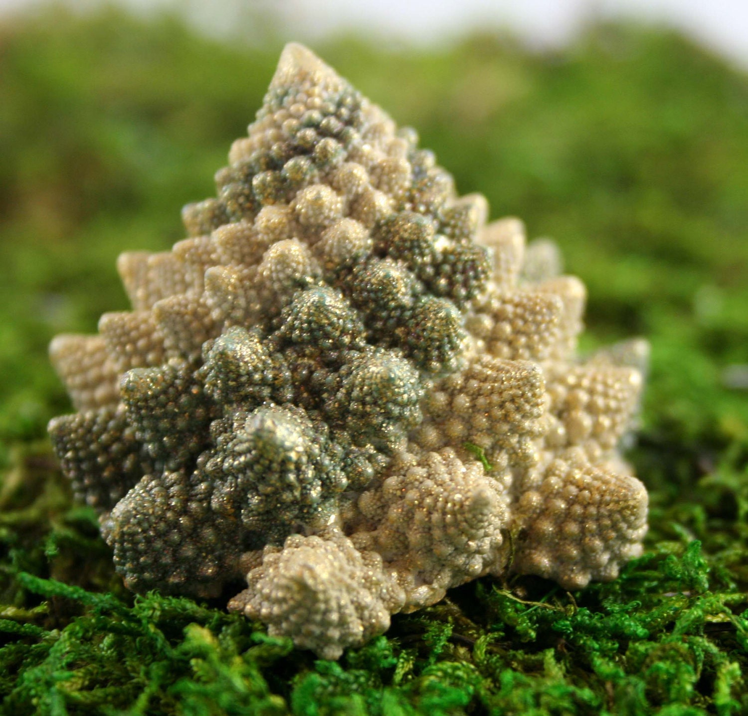 Attach to Anything Mini Sculpture: Hand Painted Romanesque "Brocco-Fractal"