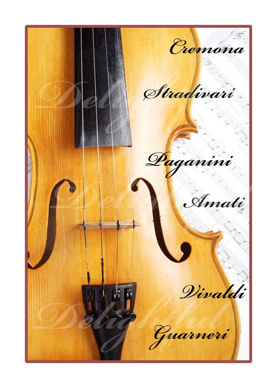 Violin Music Lover's Print 5 x 7