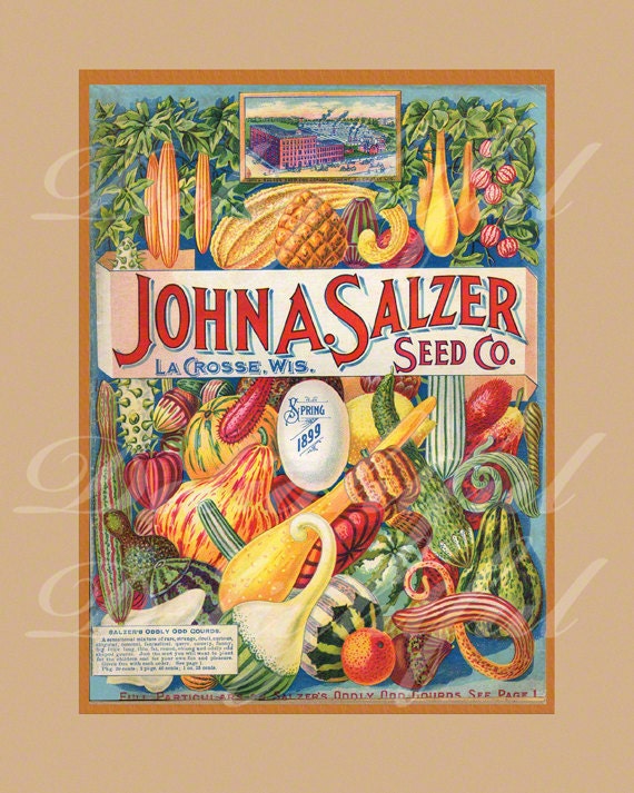 Seed Catalog Cover Colorful Restored Reproduction Vintage Print Kitchen 8 x 10