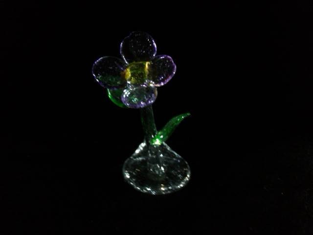 Purple Flower