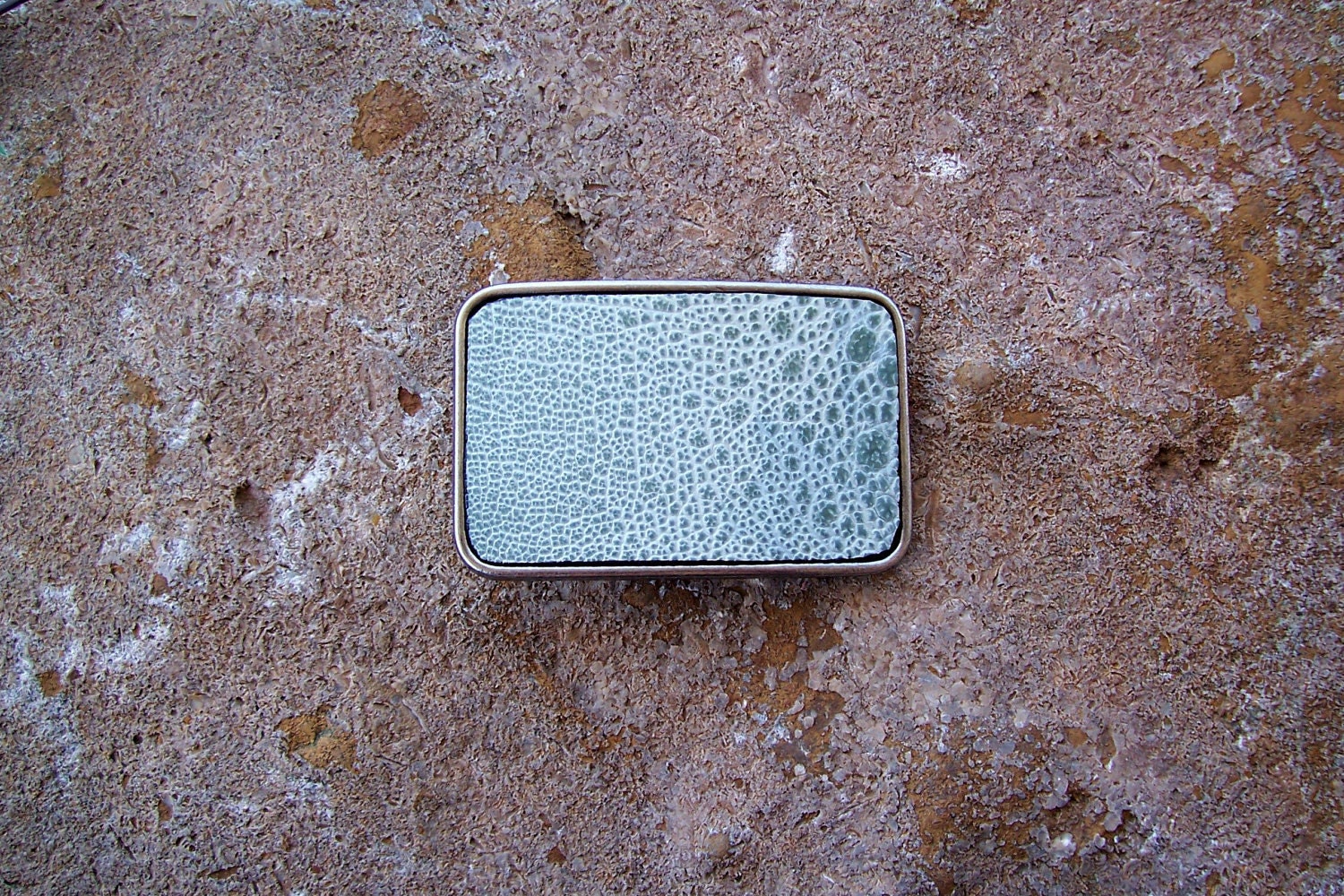 Sea Foam Colored Frog Skin custom made belt buckle, Exotic Leather and steel