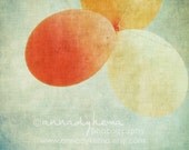 Birthday - Fine Art Photograph