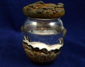 Glossodoris Nudibranch Perma-Pet Sculpture - One of a Kind Mixed Media Sea Slug Sculpture