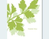 Parsley Thank You Note Card Set - 6