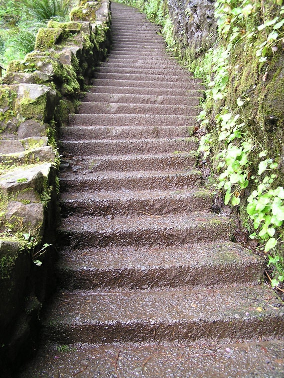 Enchanted Stairway 8x10 Fine Art Print