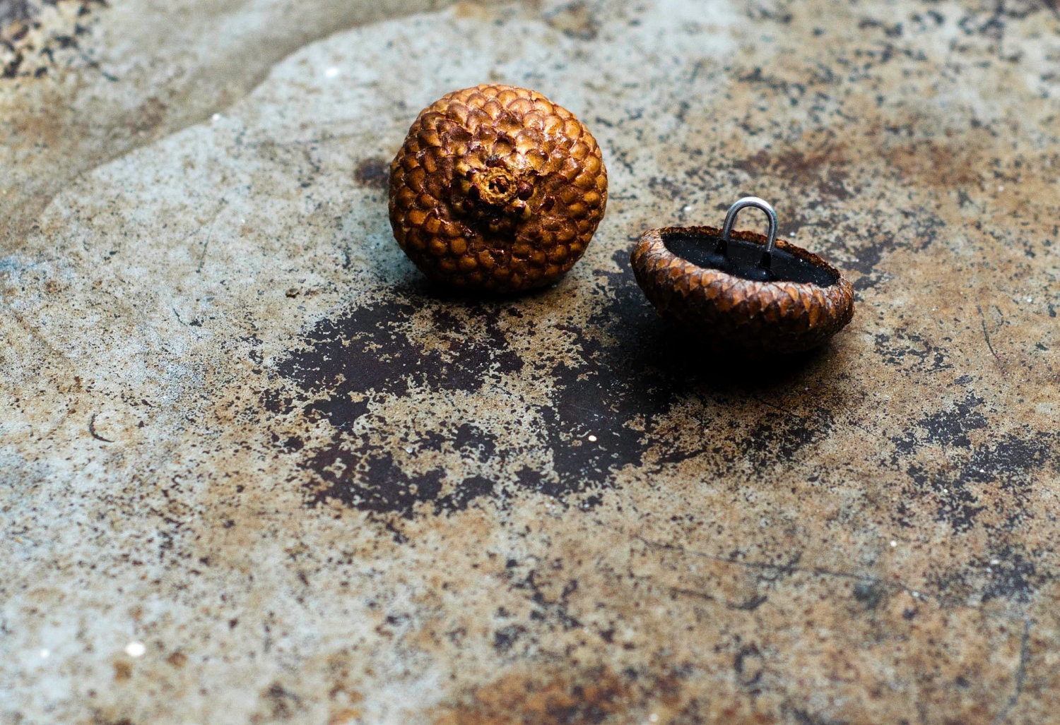 Acorn Cap Buttons OOAK 25mm Made to Order