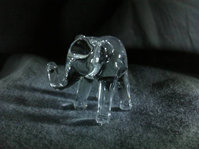Clear Elephant