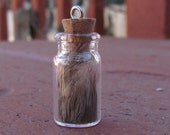 Mountain Lion Fur Totem Glass Jar Pendant