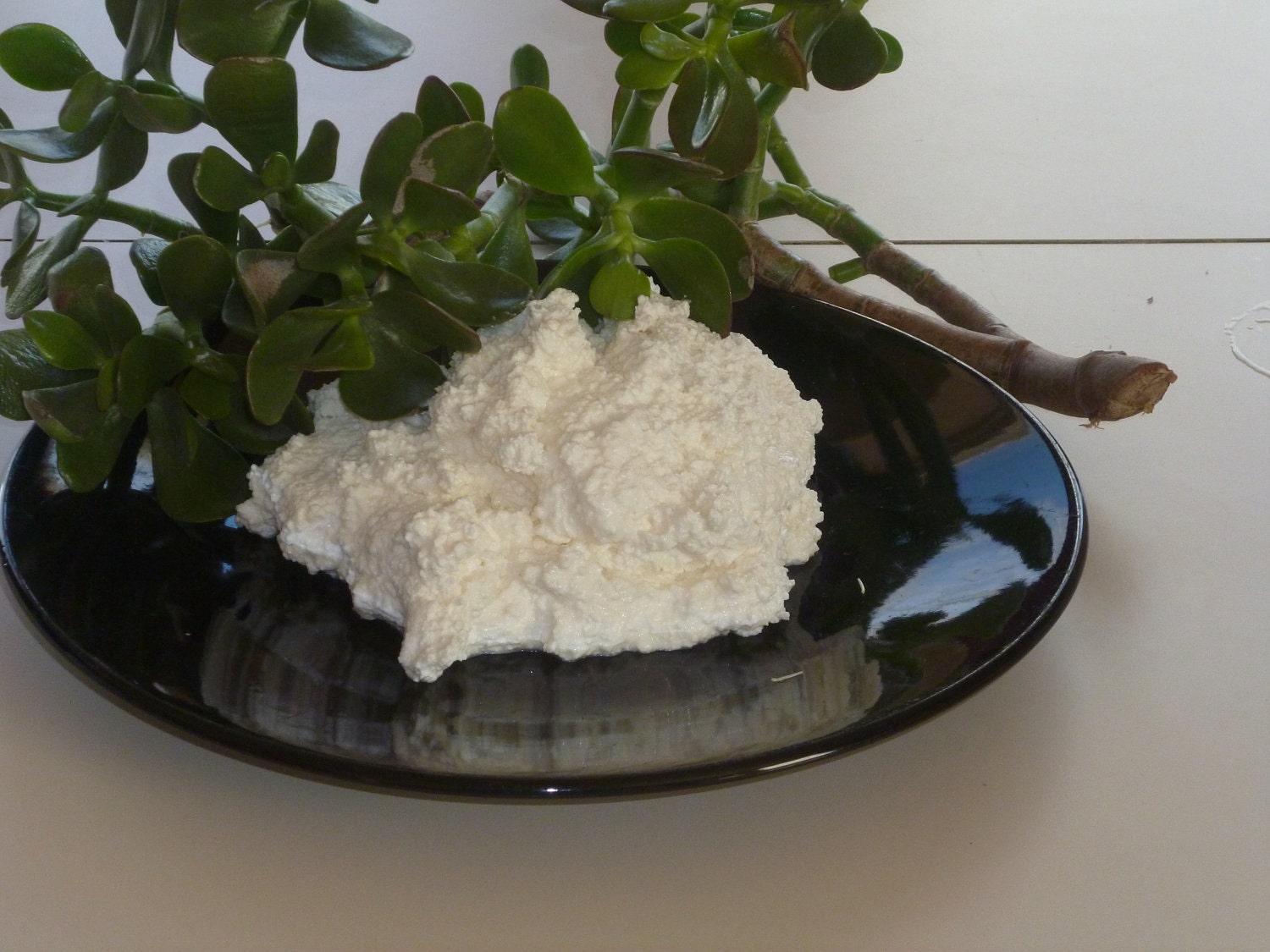 PROBIOTIC KEFIR GRAINS miracle food 1/4 cup / 4 tablespoons make your own