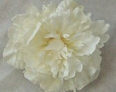 White Peony Flower Clip & Pin