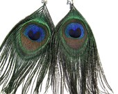 Peacock Feather Earrings -small