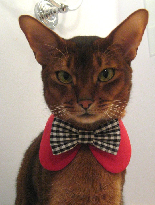 Cute Red round collar with black gingham bow tie for cat