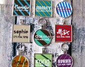 Bold Stripes Silver Pet ID Tag