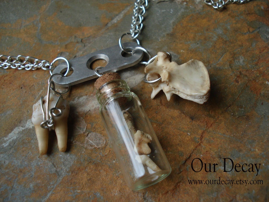 Reliquary - deer tooth vial of teeth vertebra and metal hardware