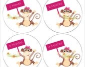 Monthly Onesie Sticker (Girl):  Monkey