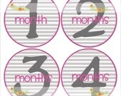 Monthly Onesie Sticker (Girl):  Pink & Grey Stripe
