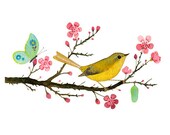Warbler