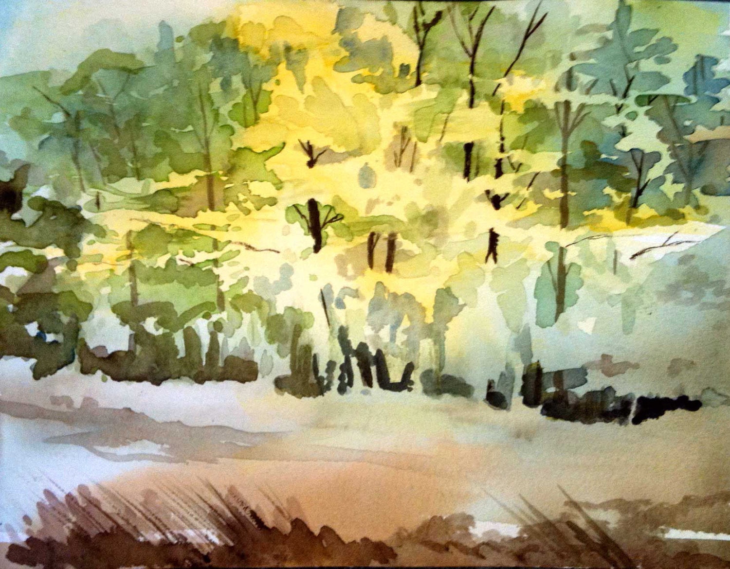Green Forest Walk