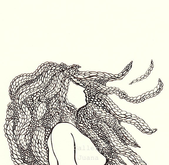 pen line drawing illustration