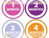 Monthly Onesie Sticker (Girl):  Solid Circles