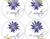 Monthly Onesie Sticker (Girl): Violet Chrysanthemum