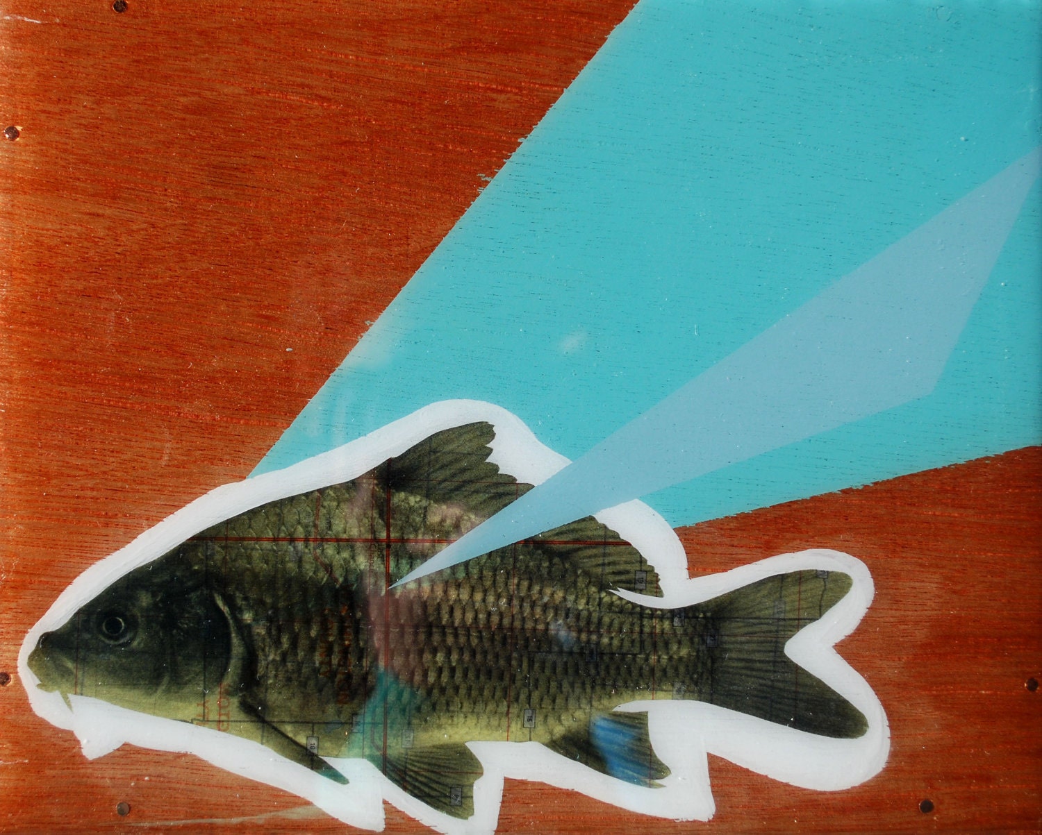 Lovable Carp Varnished Art Panel