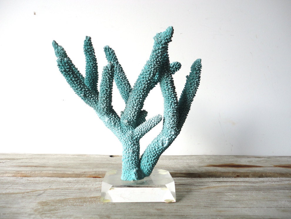 Natural Coral Branch on Clear Base