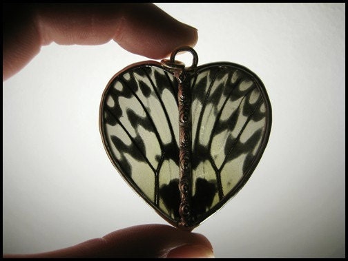 You make my heart flutter- Real Butterfly Wing Necklace