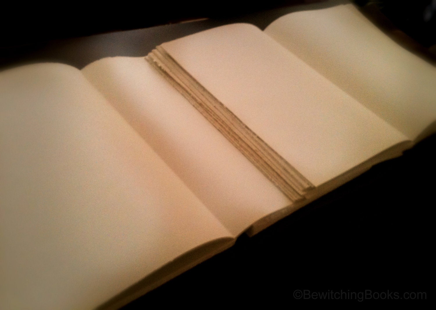 SMALL Handmade Blank Leather bound Practical Magic Book (A4) Replica (Book Of Shadows Double Book)