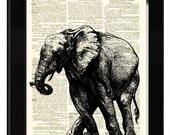 Elephant Dictionary Art Print Antique Rag Cotton Paper and Etching