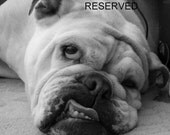 Reserved For Aine