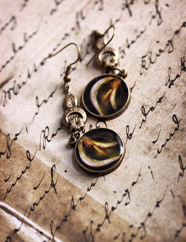 20% OFF Sale Vintage Inspired Jewelry Photo Earrings - In the End - original fine art photo - dying tulip