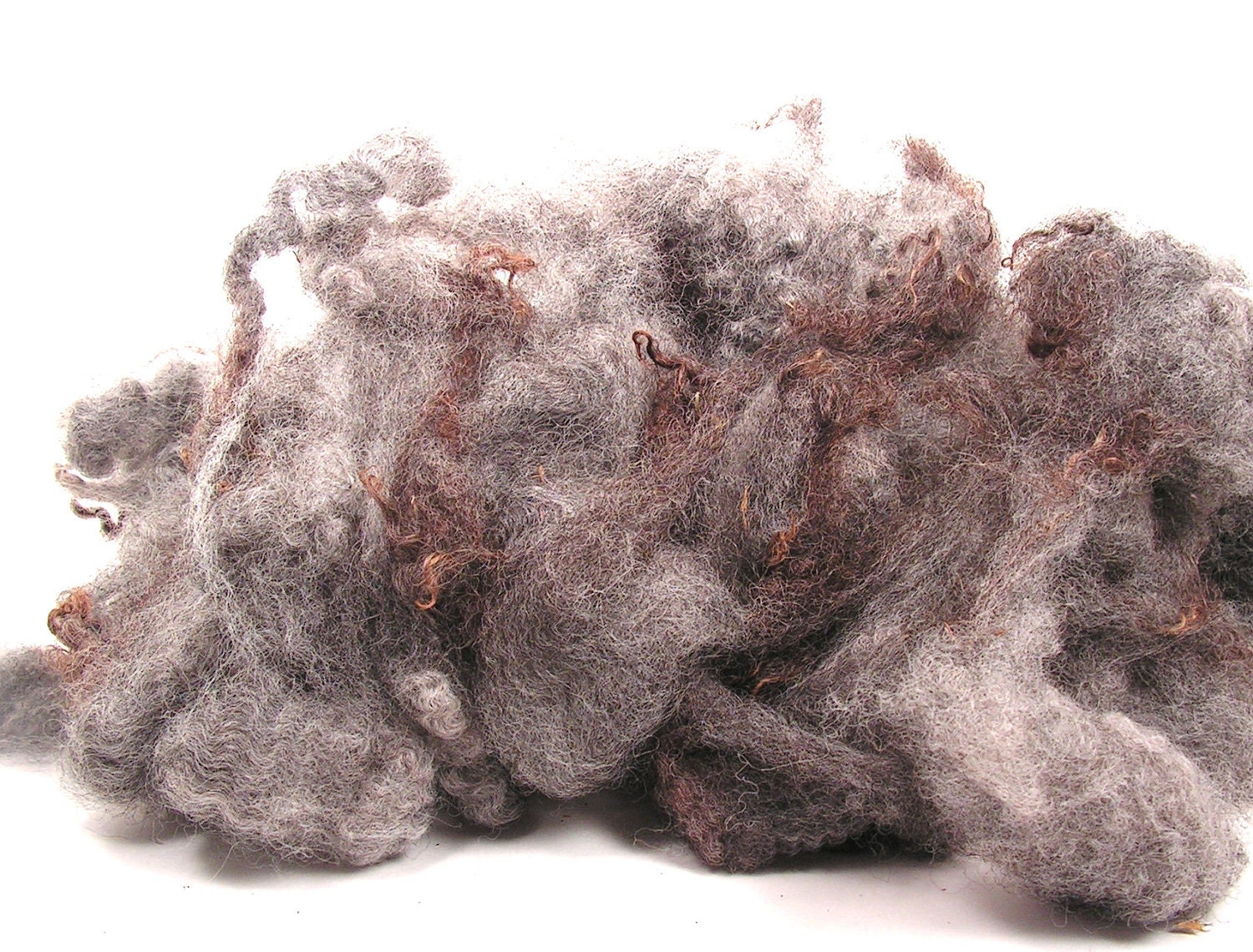 Lambswool Locks Spinning Fiber STEEL Gray Grey Coopsworth Washed Wool 4 oz