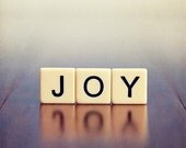 Holiday Christmas Photograph - joy word text typography blue purple white cream black lilac happy romantic 5x5