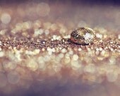 Abstract Glitter Decor - Photograph gold purple drop circle sparkle golden yellow lilac bright bokah abstract 4x4