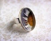 20% OFF Sale Fine Art Photo Jewelry Ring - Daisy Face - original photography - ready to ship - Valentines Day