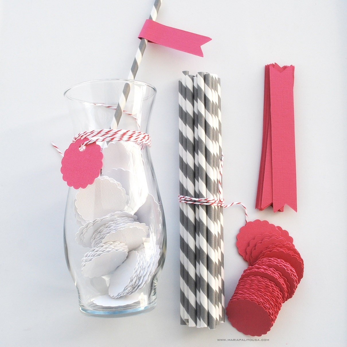 DYI Party Set Paper Drink Straws with Flags (Set of 12)