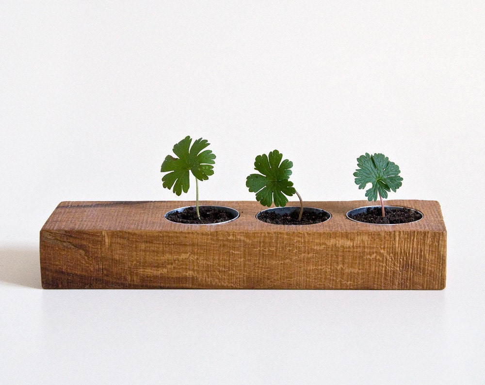 Tealight Candle Holder ILA Wood Seed Starter