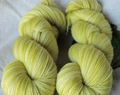 Super Wash Merino Fingering