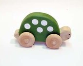Eco- friendly Homeless Turtle